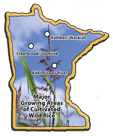Ag Awareness Wild Rice Growing Map